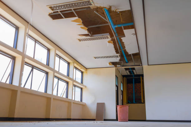 Best Professional water damage repair  in Dade City, FL