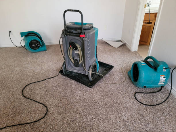 Best Water damage cleanup near me  in Dade City, FL