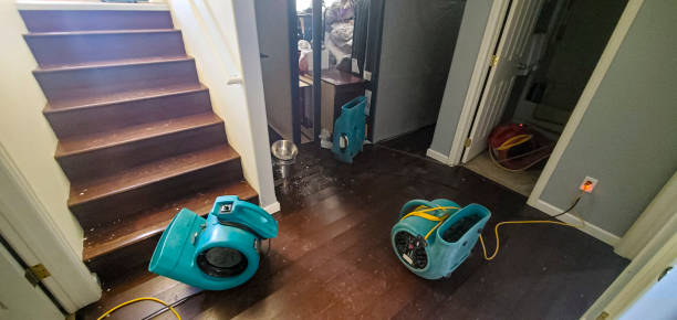 Best Water damage contractors near me  in Dade City, FL