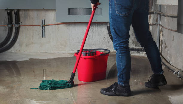Best 24-hour water damage restoration  in Dade City, FL