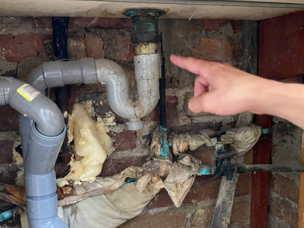 Best Sewage cleanup and water damage restoration  in Dade City, FL
