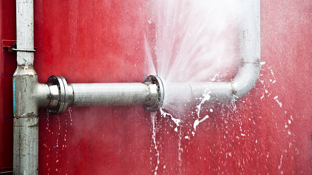 Best Ceiling water damage repair  in Dade City, FL